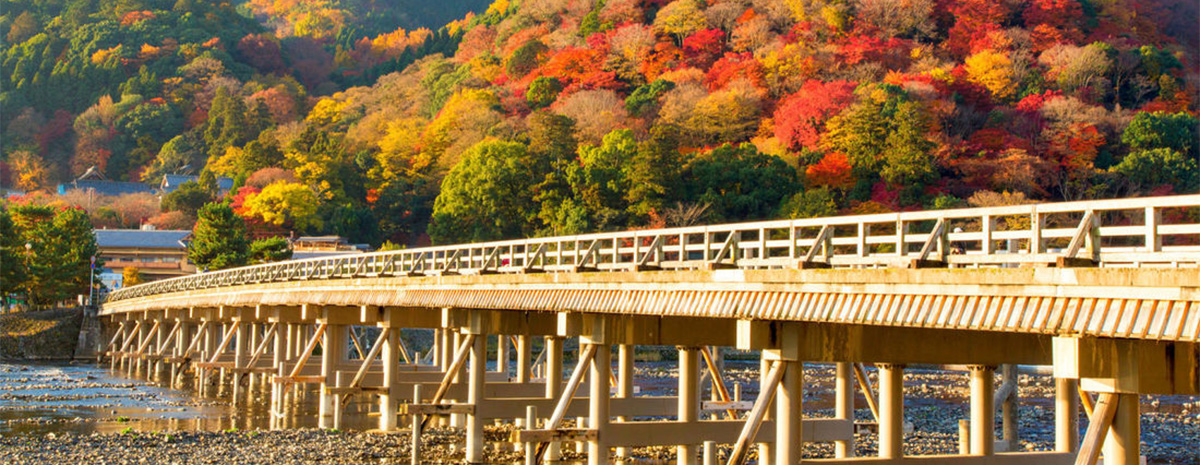 Kansai Fall Foliage 6 days tour